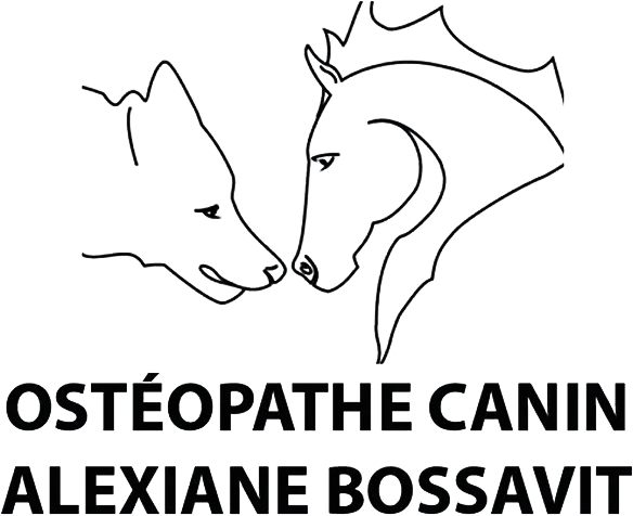 alexiane-bossavit