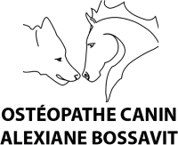alexiane-bossavit