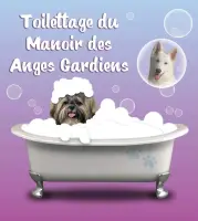manoir-des-anges