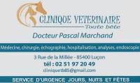 veto-toute-bete