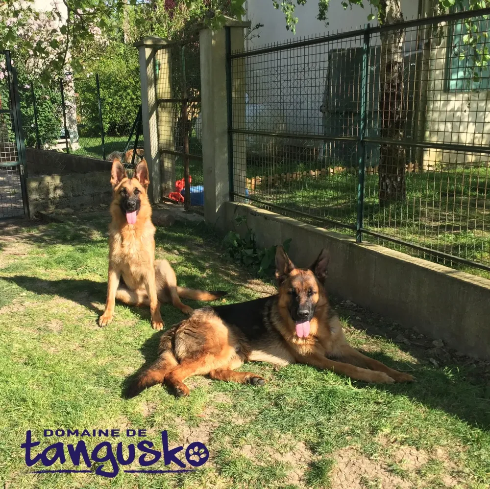 team-security