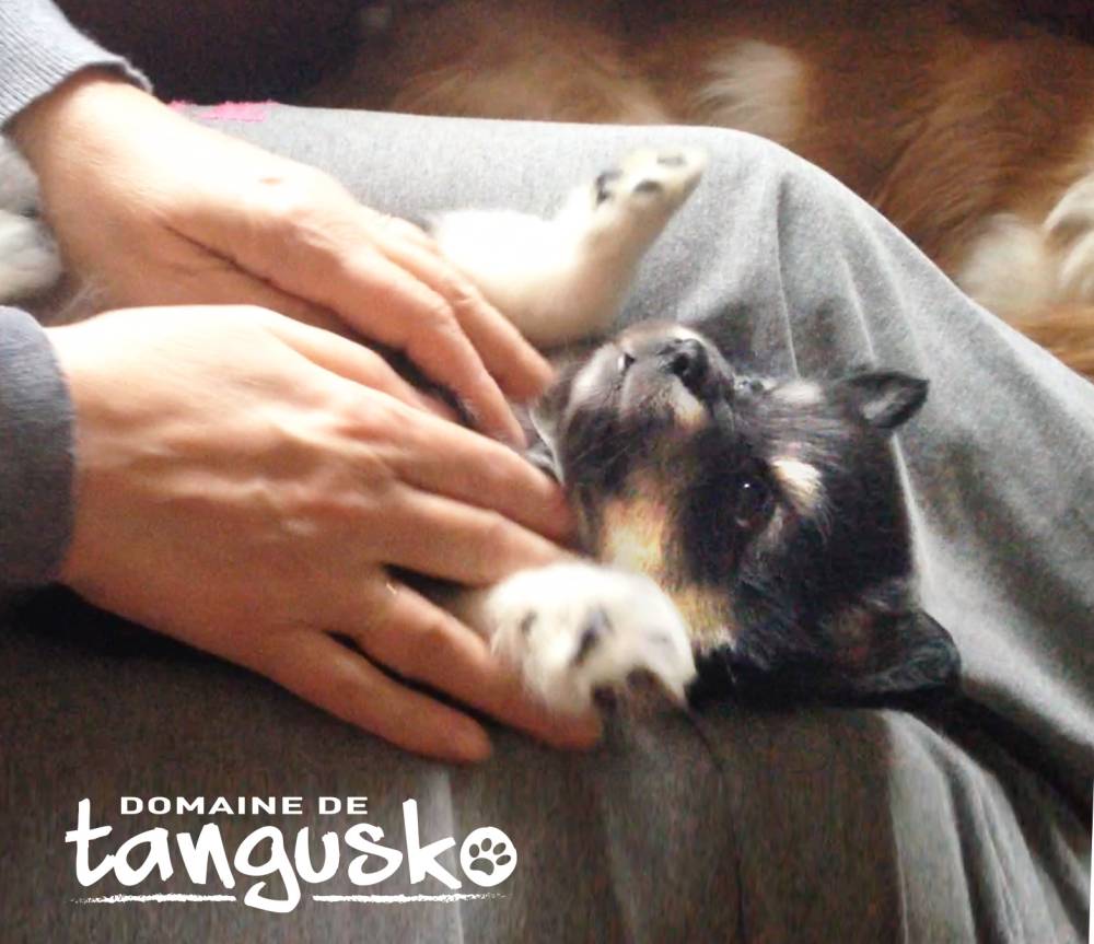 massage+finnois