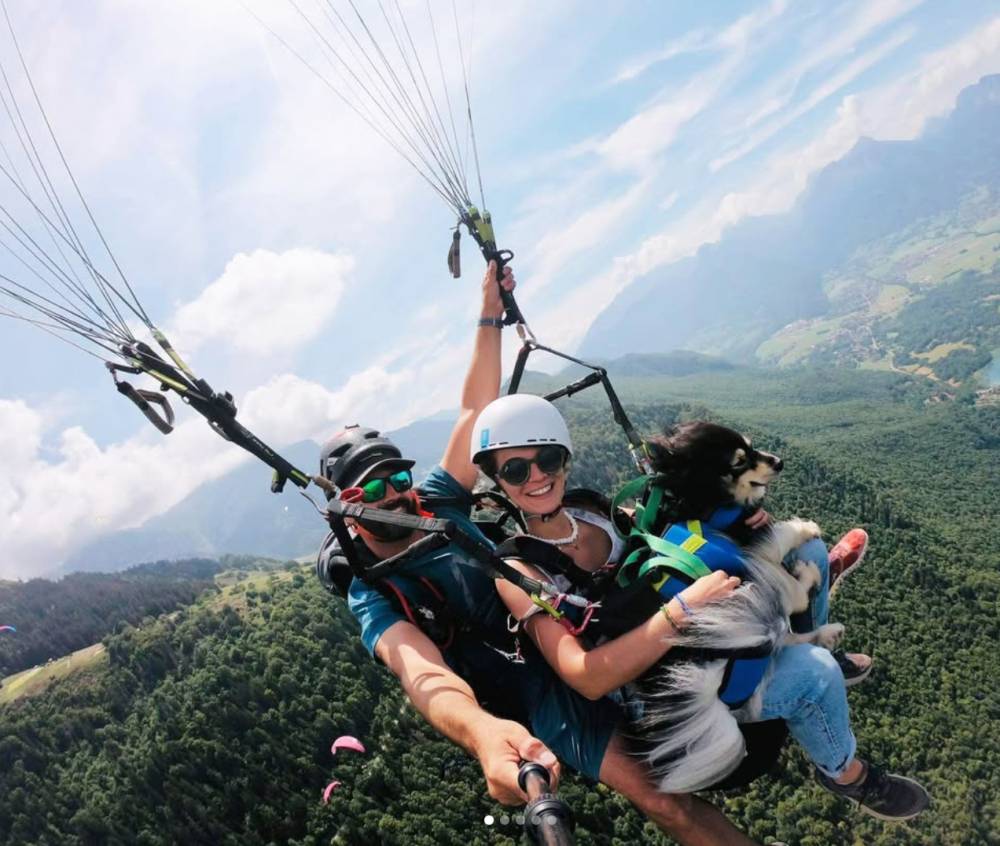 ZIGGY du Domaine de Tangusko en parapente avec ses maîtres_2