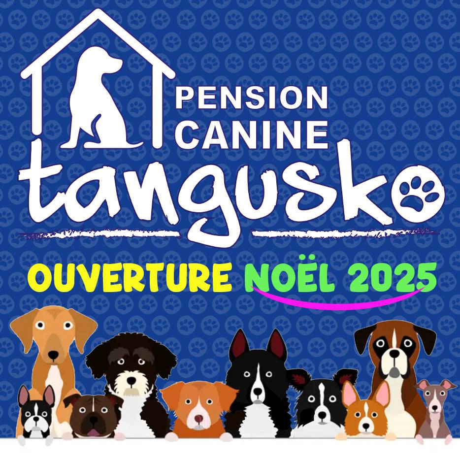 Teaser TANGUSKO PENSION_4 copie