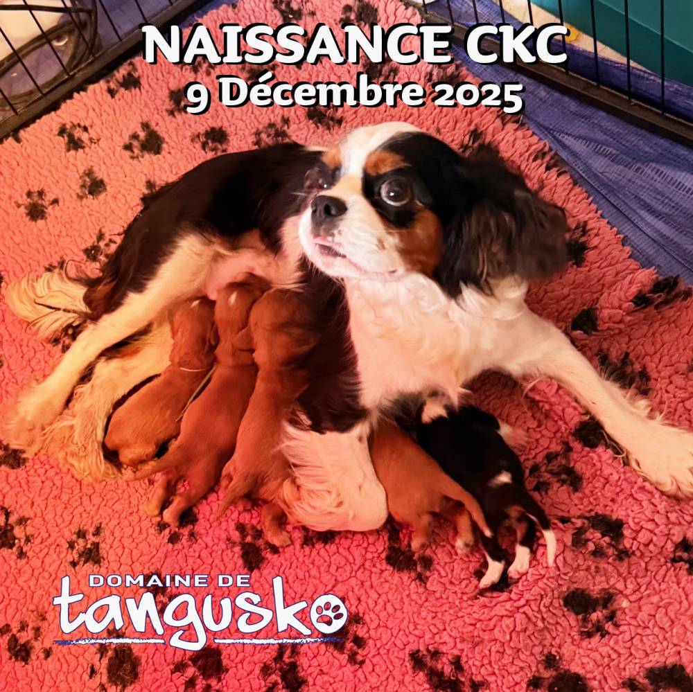 Actu_Replay et ses bebes_2