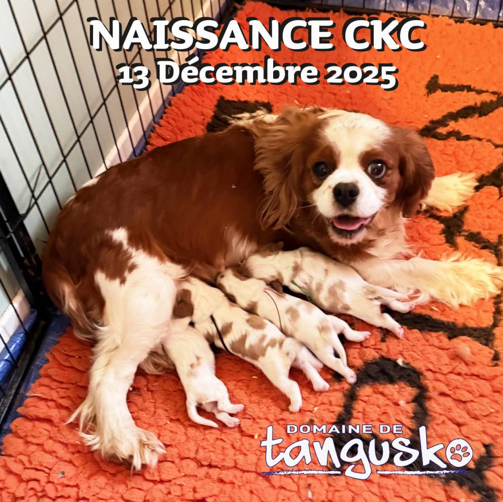 Actu_Pepper et ses bebes_2