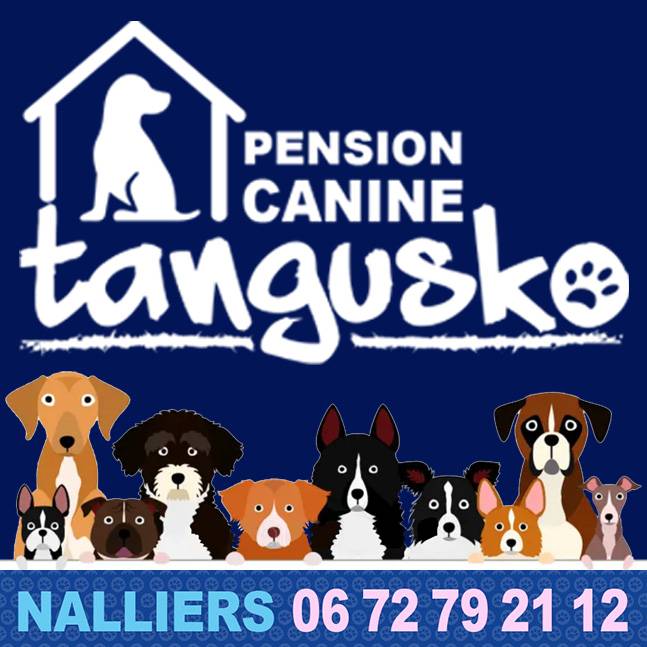 Teaser TANGUSKO PENSION_PREZ