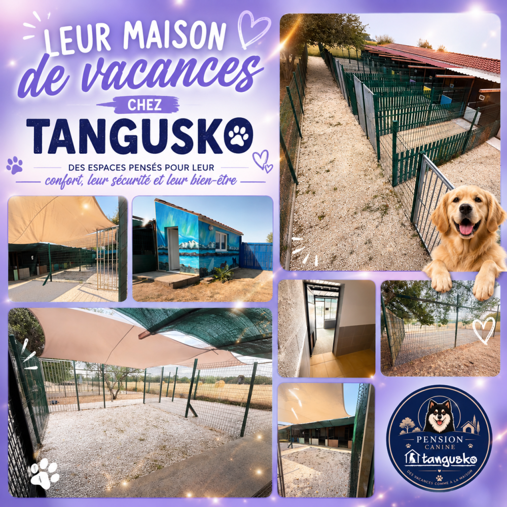 Notre Pension Canine Tangusko