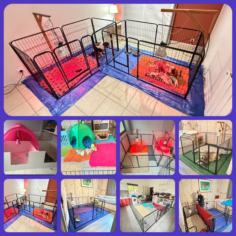 Nos espaces naissances